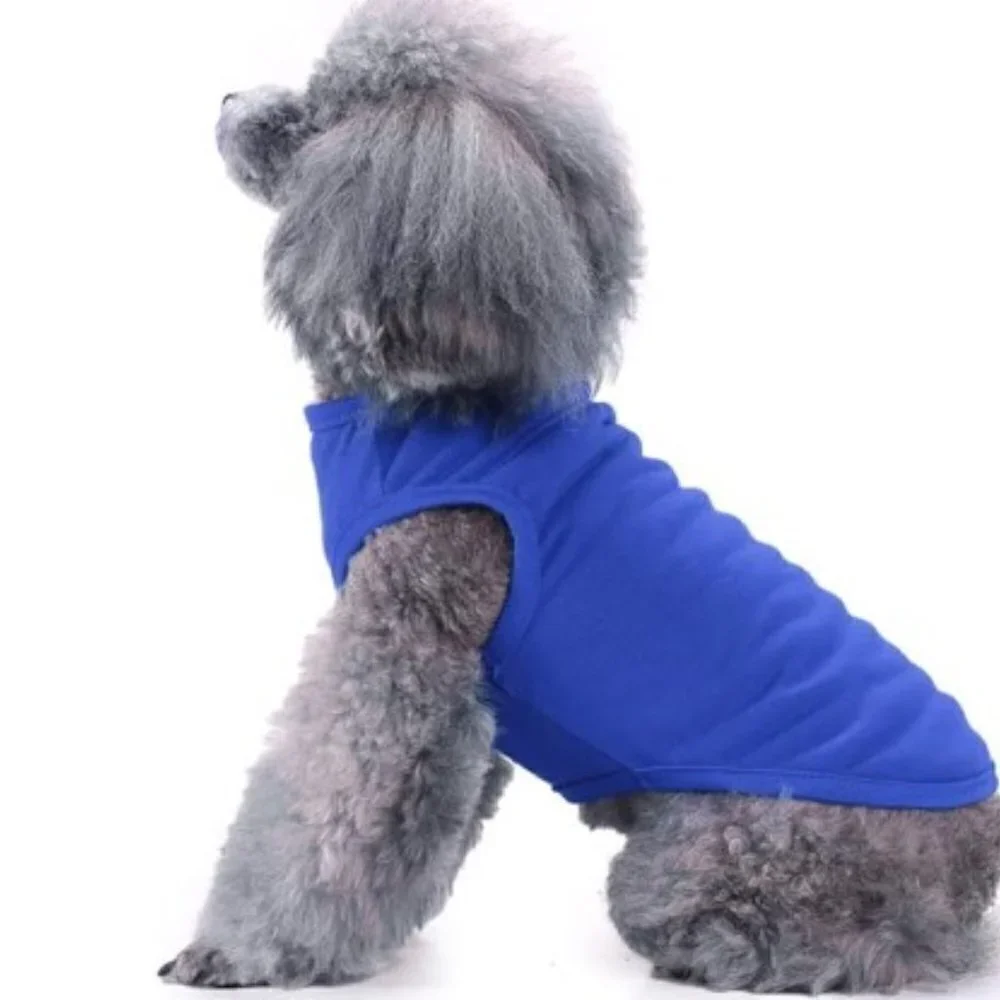 NEW BLUE DOG T-SHIRT (Size tag is incorrect)